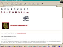 Website Deutsches Salzmuseum